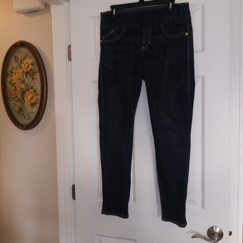 Rock & Republic denim rx pull on jeans